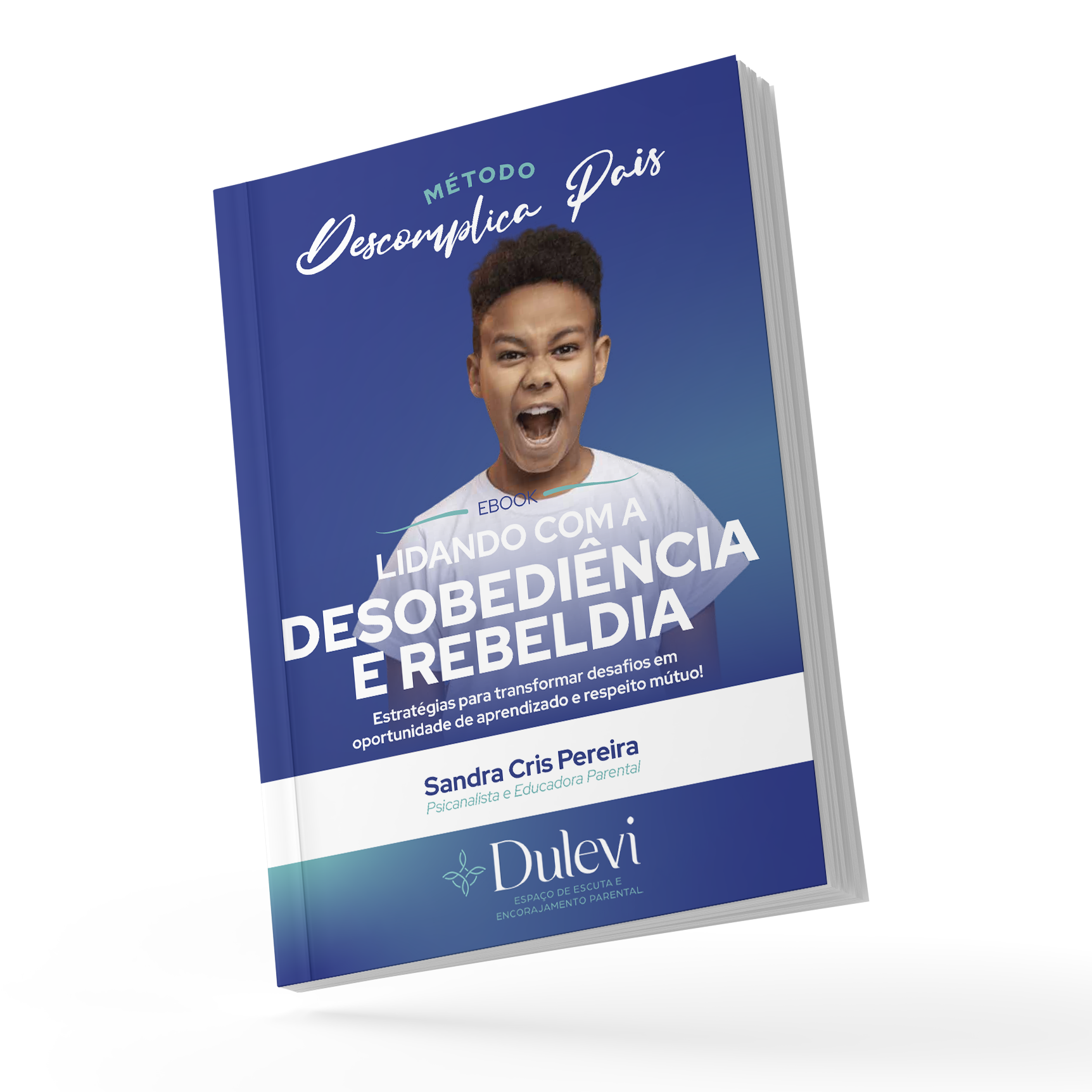 Ebook - Sandra Cris Pereira